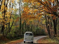 Fall