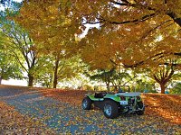 Fall