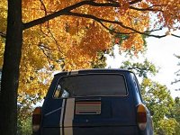 Fall