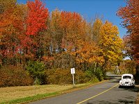 Fall