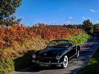 Fall