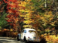 Fall