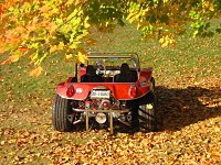 Fall