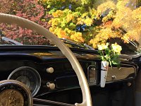 Fall