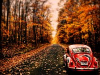 Fall
