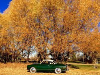 Fall