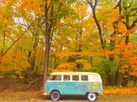Fall