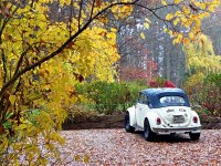 Fall