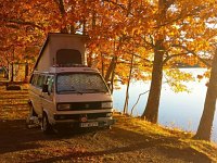 Fall
