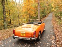 Fall