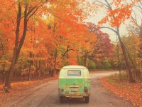 Fall