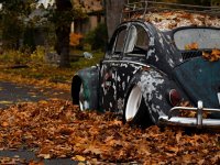 Fall