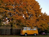 Fall