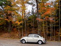 Fall