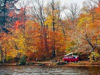 Fall