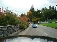 Fall