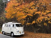 Fall