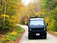 Fall