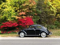 Fall