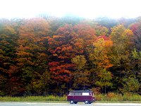 Fall