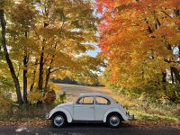 Fall