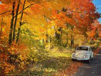 Fall