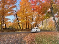Fall
