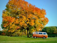 Fall