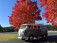 Fall