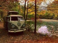 Fall