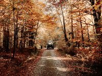 Fall
