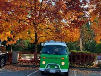 Fall