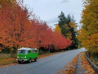 Fall