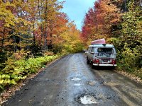 Fall
