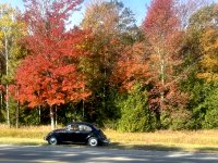 Fall