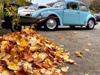 Fall