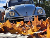 Fall
