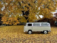 Fall