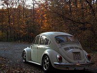 Fall