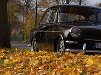 Fall