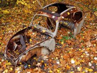 Fall