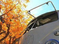 Fall