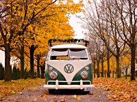 Fall
