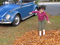 Fall