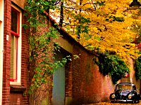 Fall