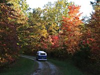 Fall