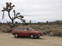 Arid Landscape