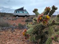 Arid Landscape