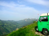 Green Grassy Landscape