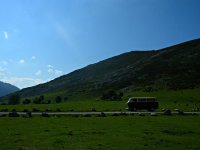Green Grassy Landscape
